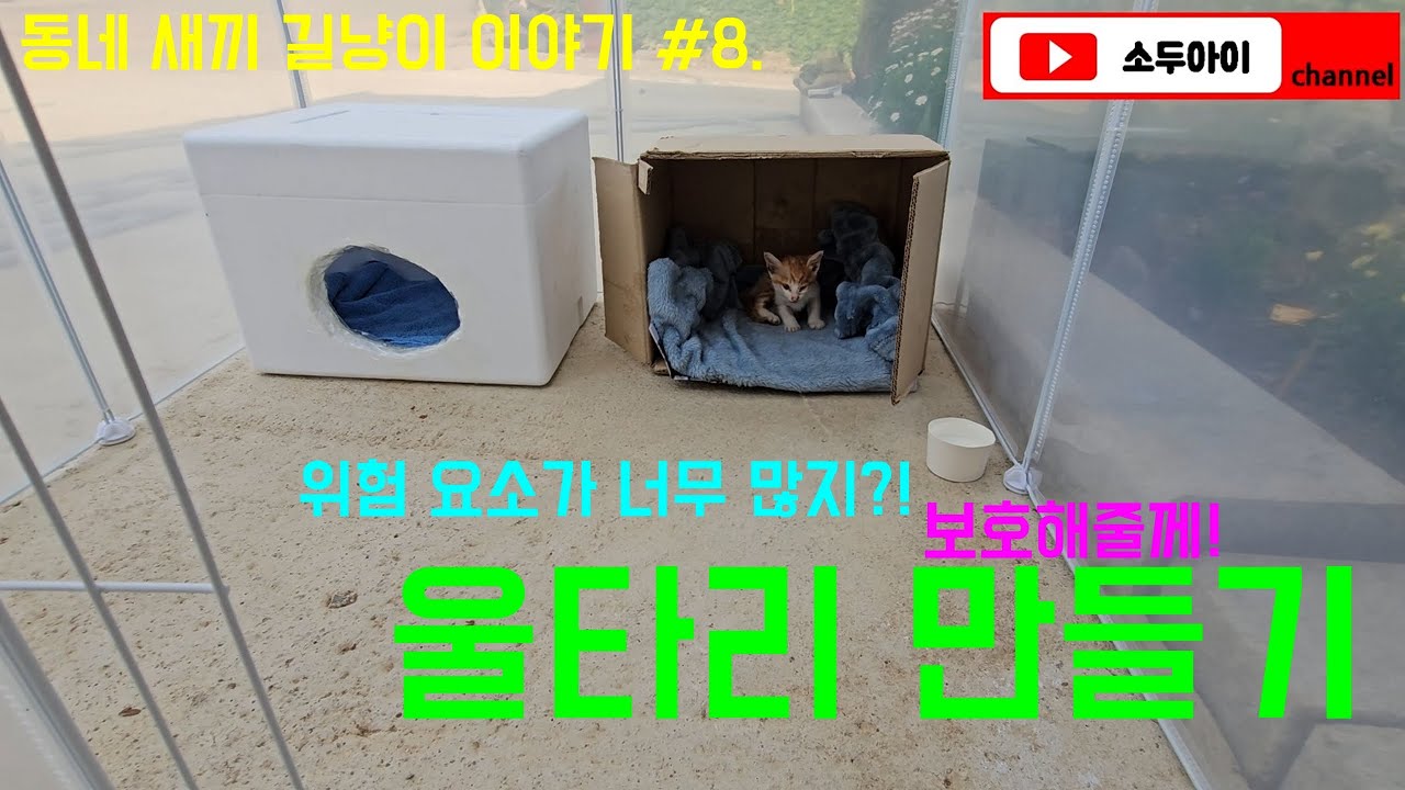 울타리 만들어 줄께! / 동네 새끼 길냥이 이야기 #8. #길고양이 #길냥이 #새끼고양이 #새끼길고양이 #간택 #고양이간택 #kitten #kittenrescue #cat
