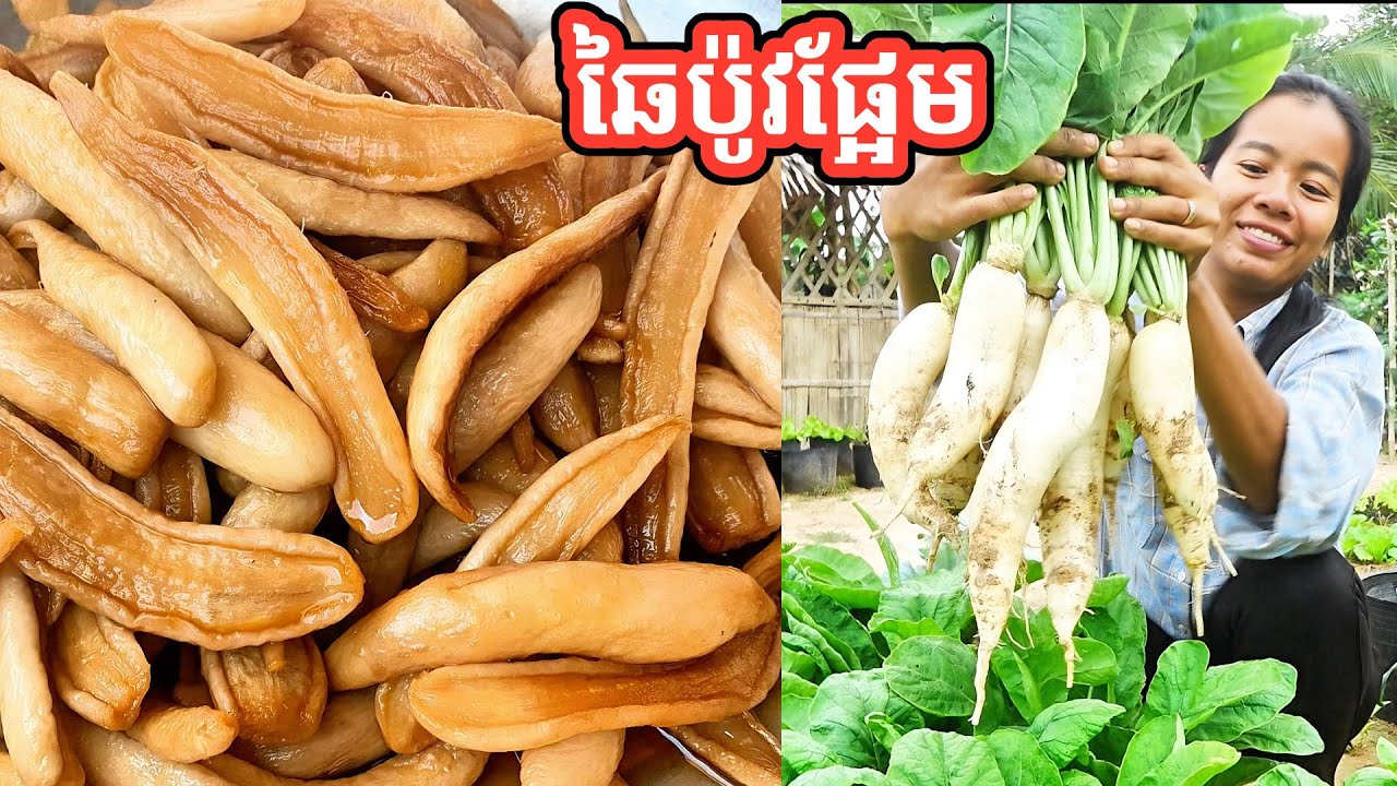 របៀបធ្វើឆៃប៉ូវផ្អែម Sweet Radishes 