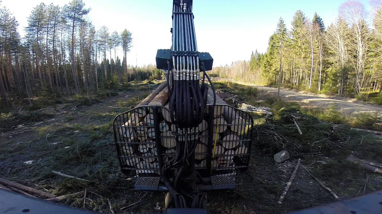Ponsse Buffalo kuusikossa