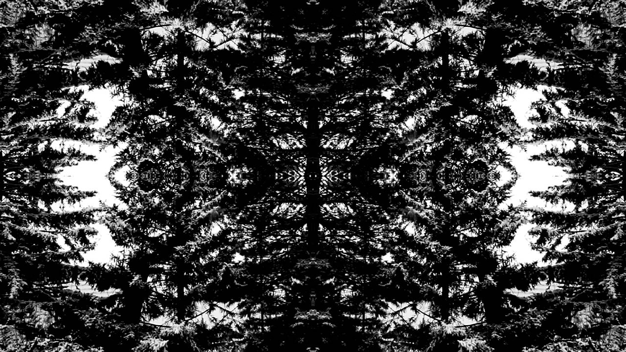 VILDHJARTA - Dimman (New Track!)