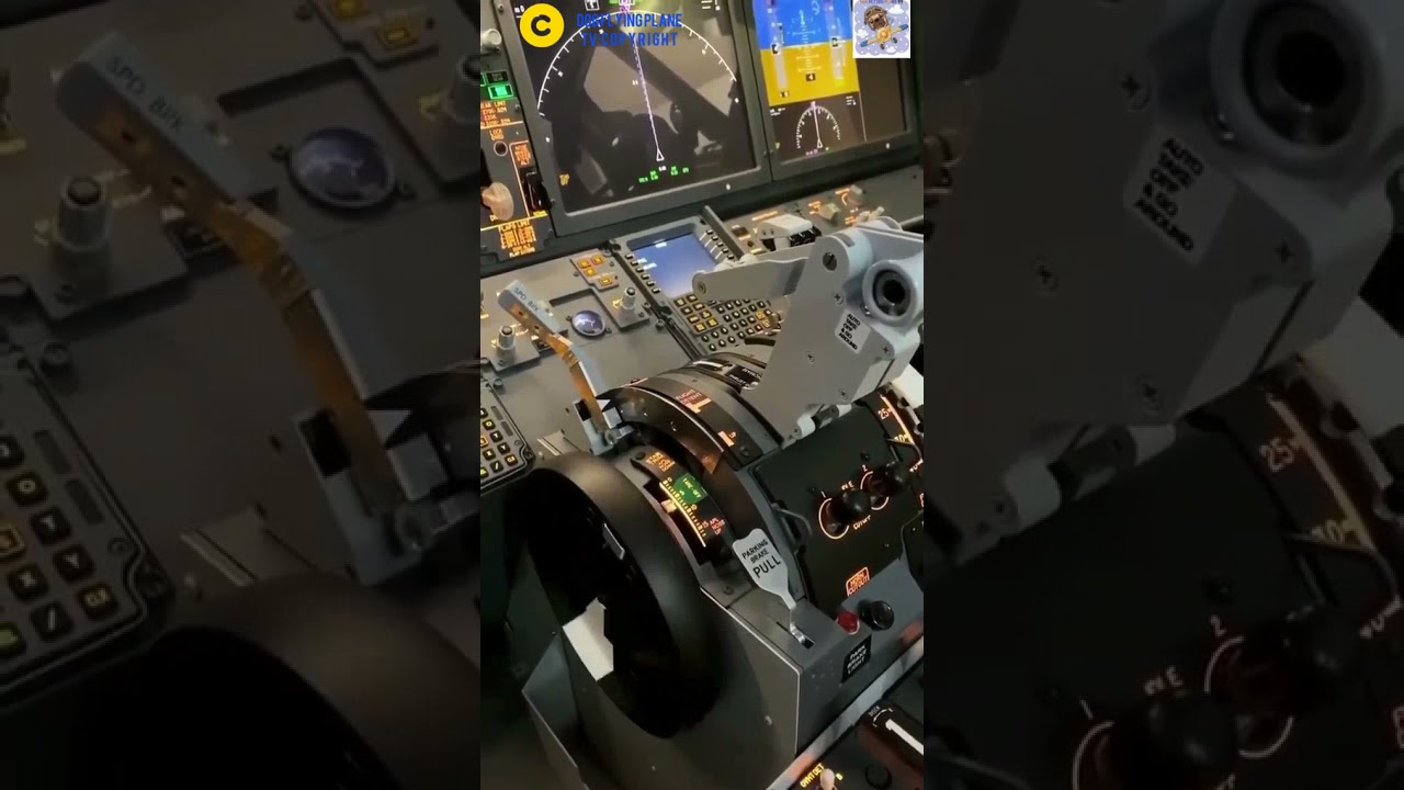 Boeing 737 Max Trotthle and cockpit view#Shorts#B737MAX#737COCKPIT#DOGFLYINGPLANETV#AVIATION