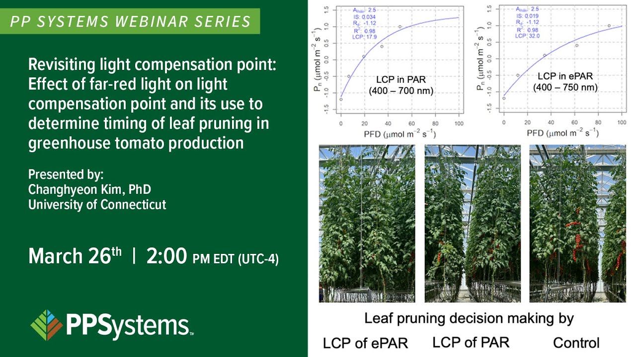 How Far-Red Light Shifts Light Compensation Point in Greenhouse Tomato Production