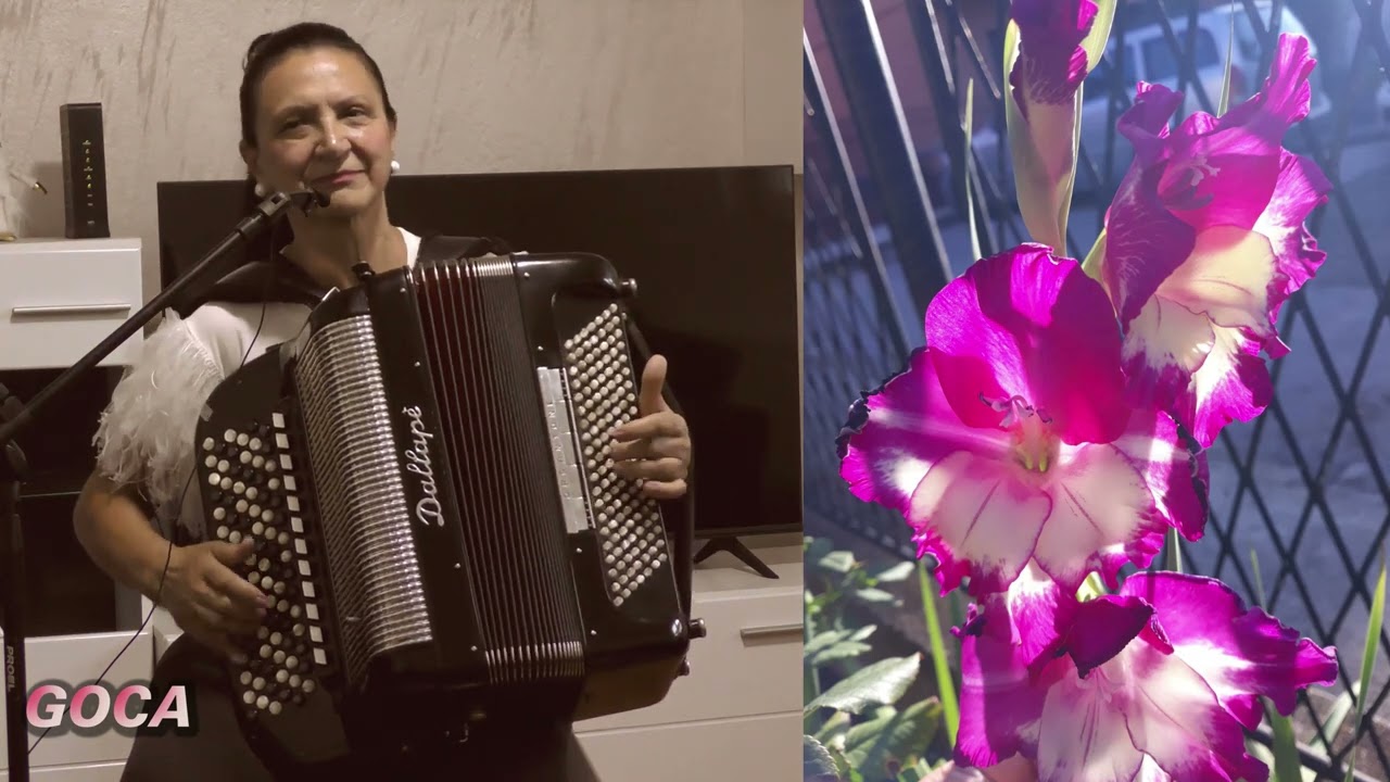 Goca VASIC ///  Zilicevo kolo