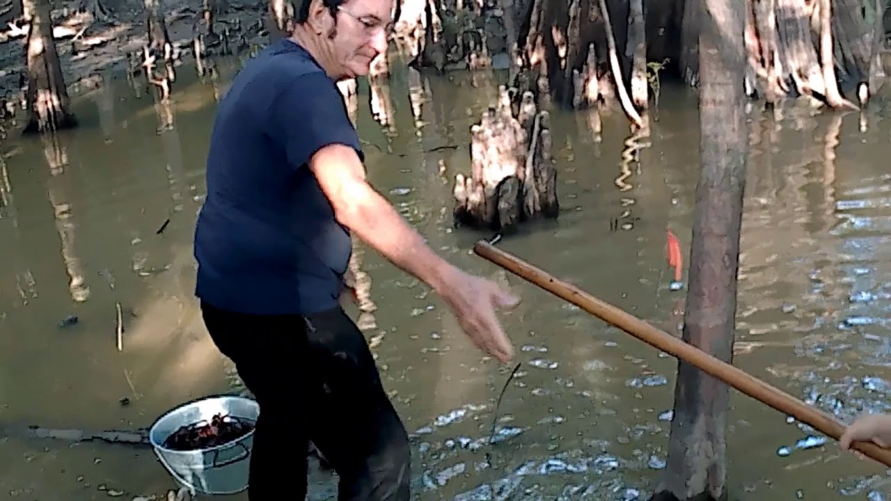 Crawfishing with Boudreaux