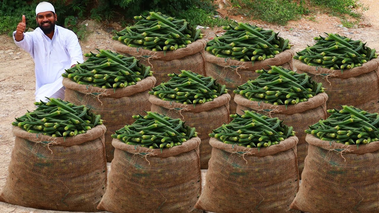 Ever Green Lady Finger Masala Recipe | Bhindi Masala Curry | Nawabs kitchen