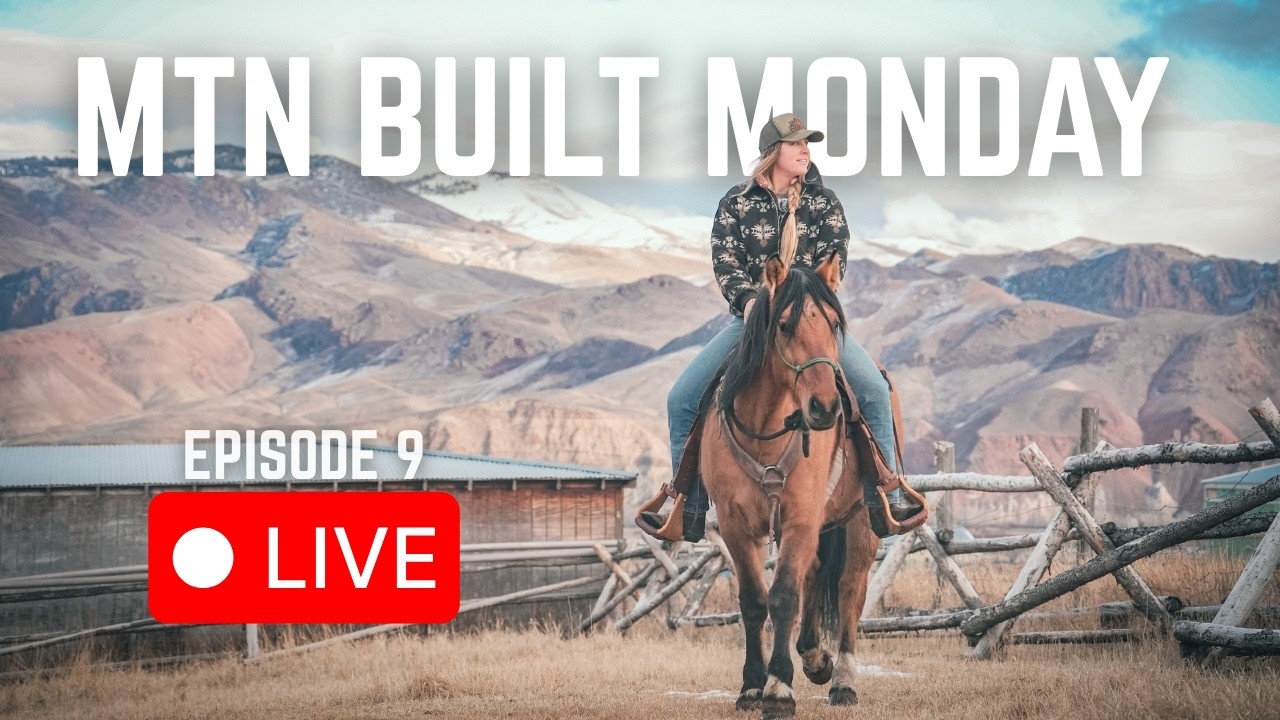 Ask Us Anything: Mules, Mustangs, or Mountain Life | MTN BUILT Monday