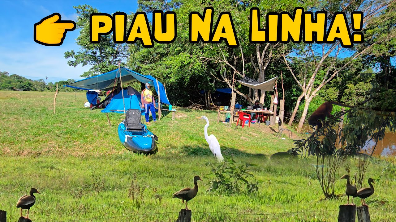 OLHA O TAMANHO DESSE PIAU