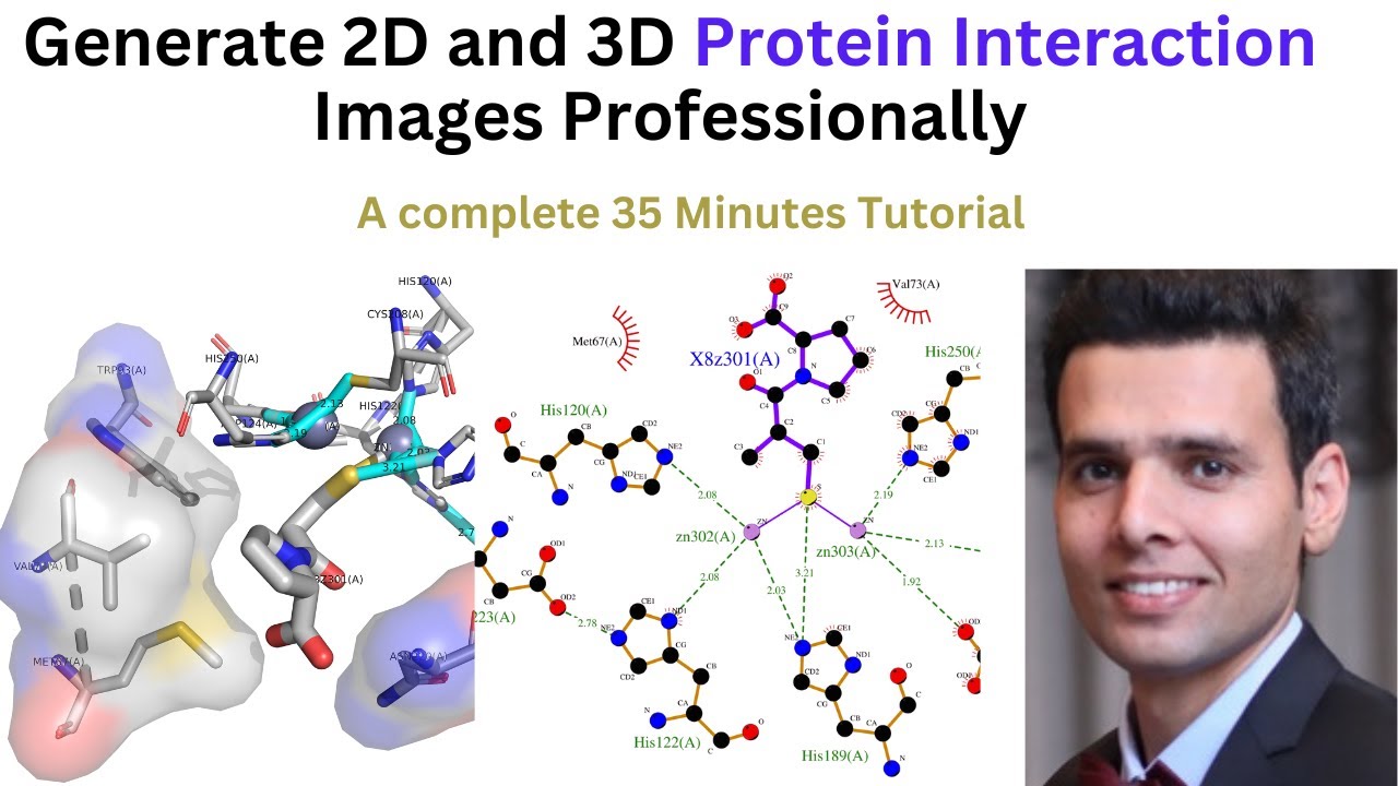 How to Generate 2D and 3D Protein Interaction Images Professionally?