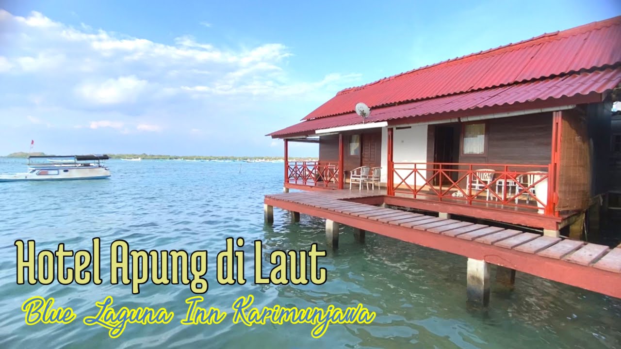 Hotel di Pinggir Laut || Blue Laguna Inn Karimunjawa