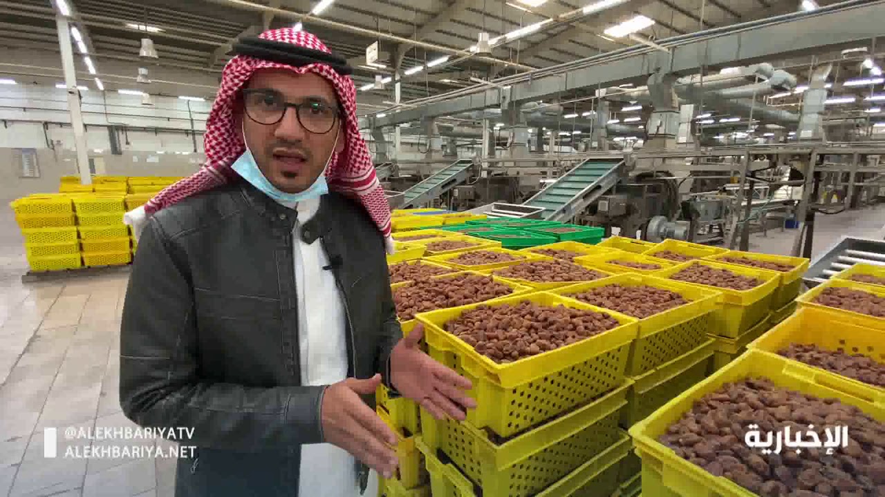 مصنع تعبئة التمور بالأحساء يستقبل 25 ألف طن لعدد من الأصناف المعتمدة