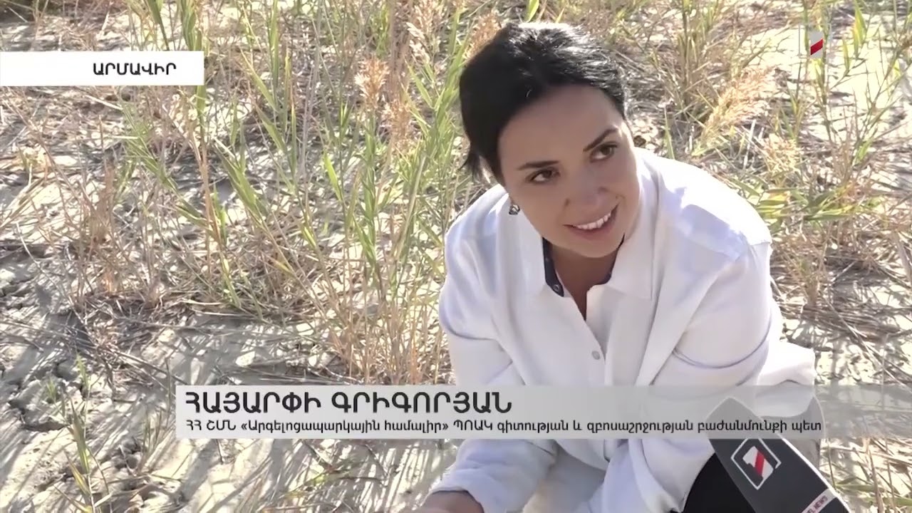 Որդան կարմիրի հողի մակերես դուրս գալու շրջանն է. գիտարշավի մասնակիցները հաշվառել են միջատներին
