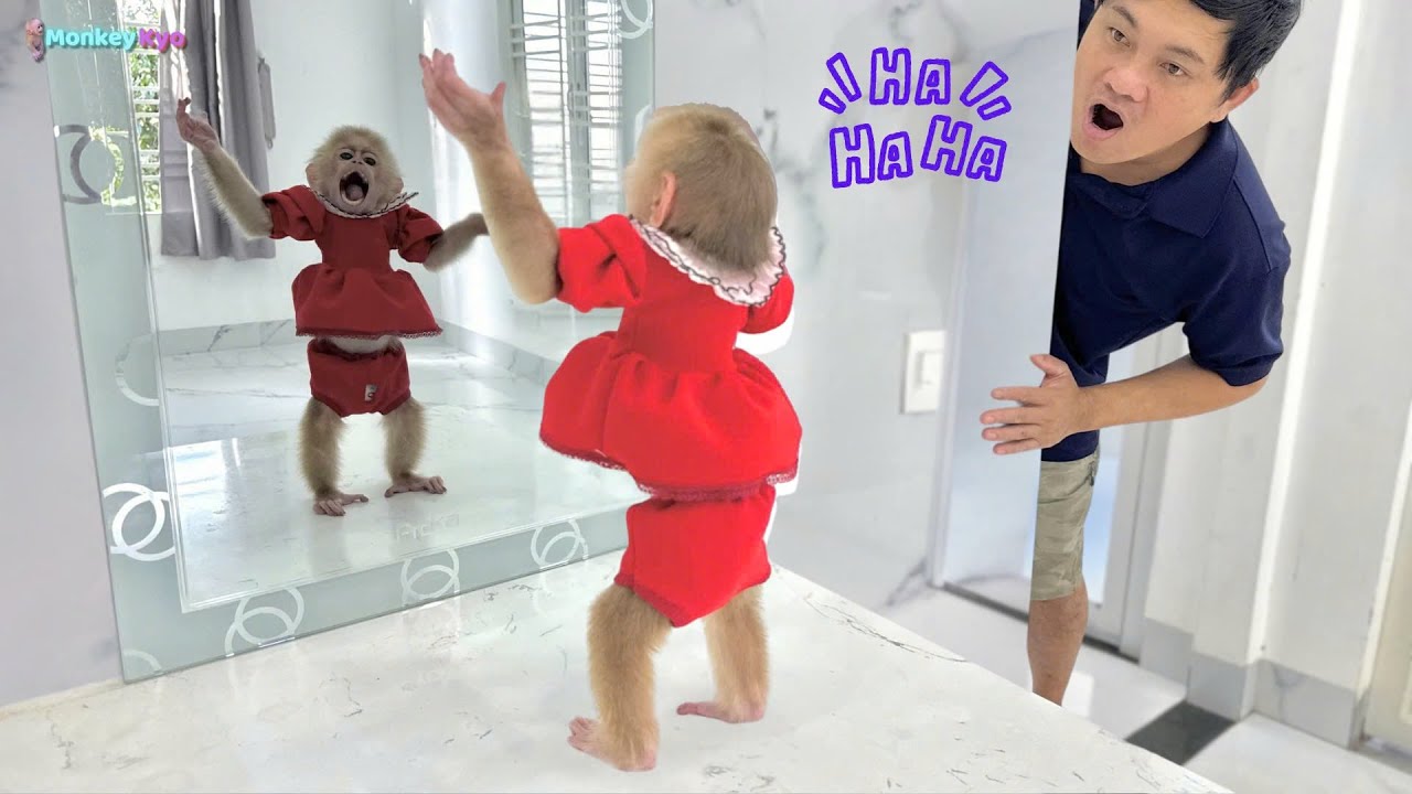 Kyo's funny, adorable reaction when she saw Dad install a new mirror!