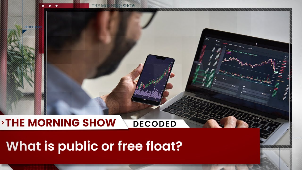 What is public or free float?