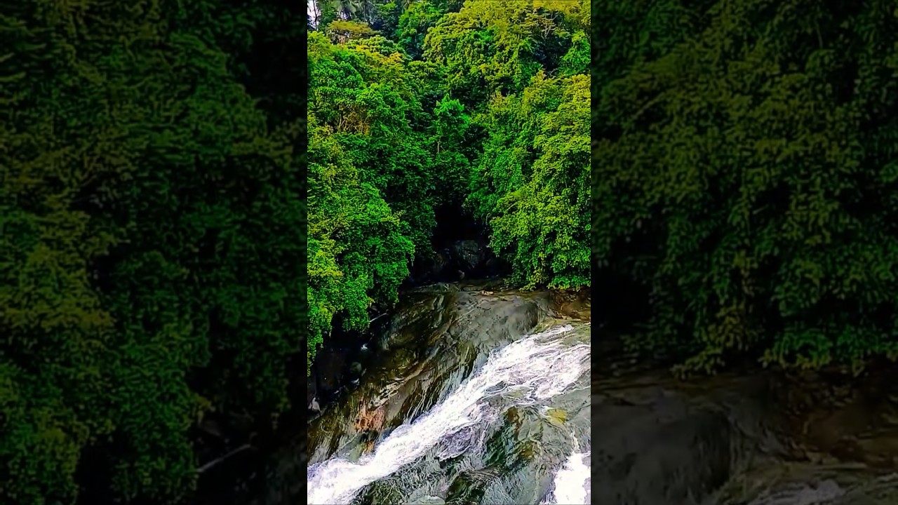 തുഷാരഗിരി ആനക്കാംപൊയിൽ അരിപ്പാറArippara watter falls 🍁