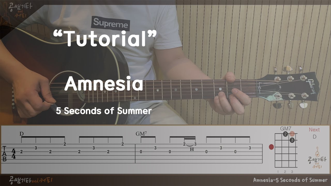 'Amnesia - 5 Seconds of Summer' Tutorial[강좌 l Acoustic Guitar Tutorial l 통기타 튜토리얼]