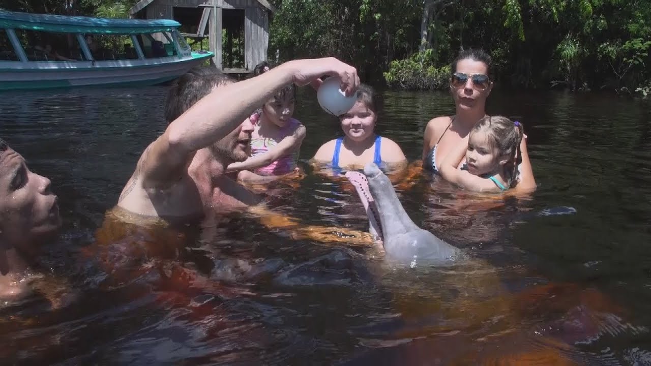 Game Changer Igor Simoes' dolphin therapy helps children's development