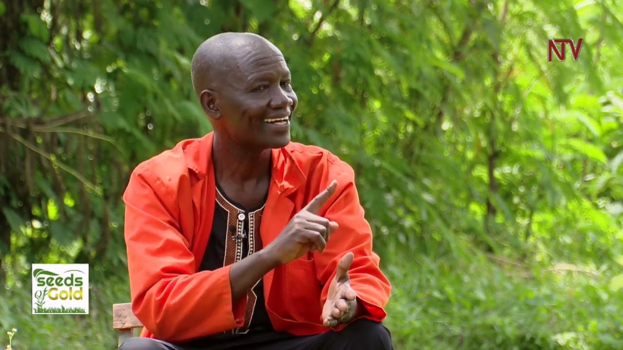 Unveiling the secrets of success in Aquaculture (fish farming) | SEEDS OF GOLD