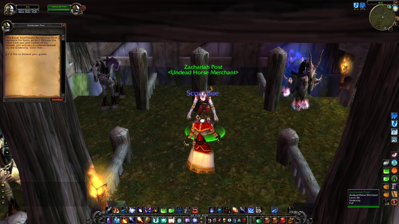 WoW Classic, Undead - Apprentice Riding & level 40 Mount