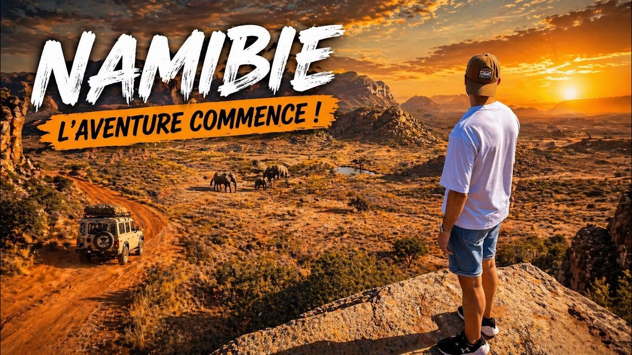 Mon Safari Magique &agrave; Etosha ! La Magie de la NAMIBIE 🇳🇦 