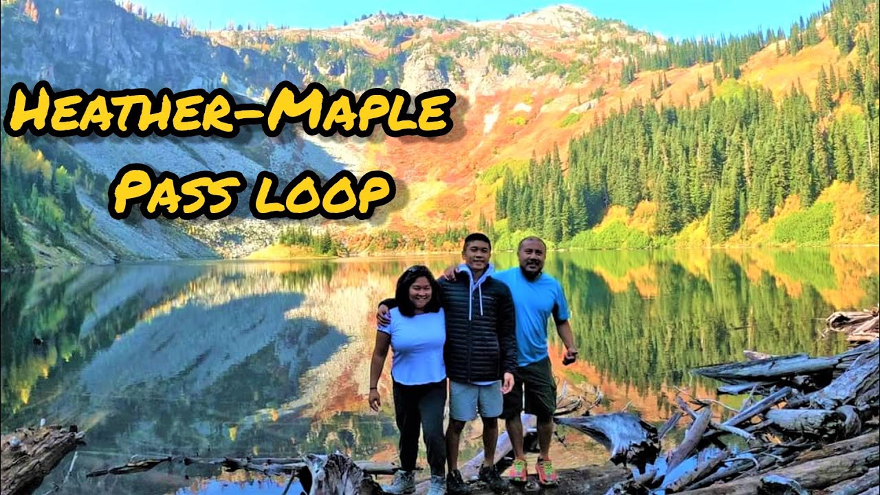 Heather - Maple Pass Loop trail / Lake Ann /  North Cascades Highway - Hwy 20 / Washington state