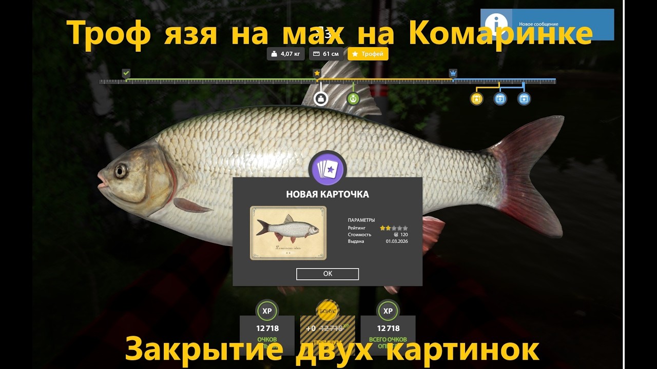 РР4.Язь на мах
