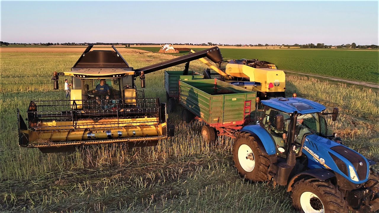 Pierwsze Żniwa Nowego Kombajnu New Holland CX5.80 - Rzepak 2019 na 2 Kombajny VLOG