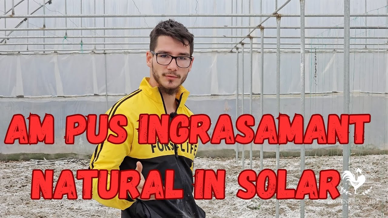 Cum fertilizez solul natural pentru primavara?