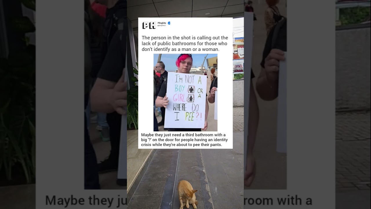 Protest Behind Cardboard: A Voice Demanding Space