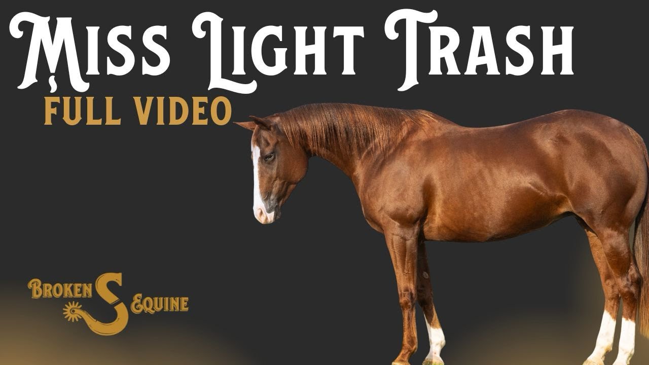 Miss Light Trash - FULL VIDEO || AQHA || Reining 