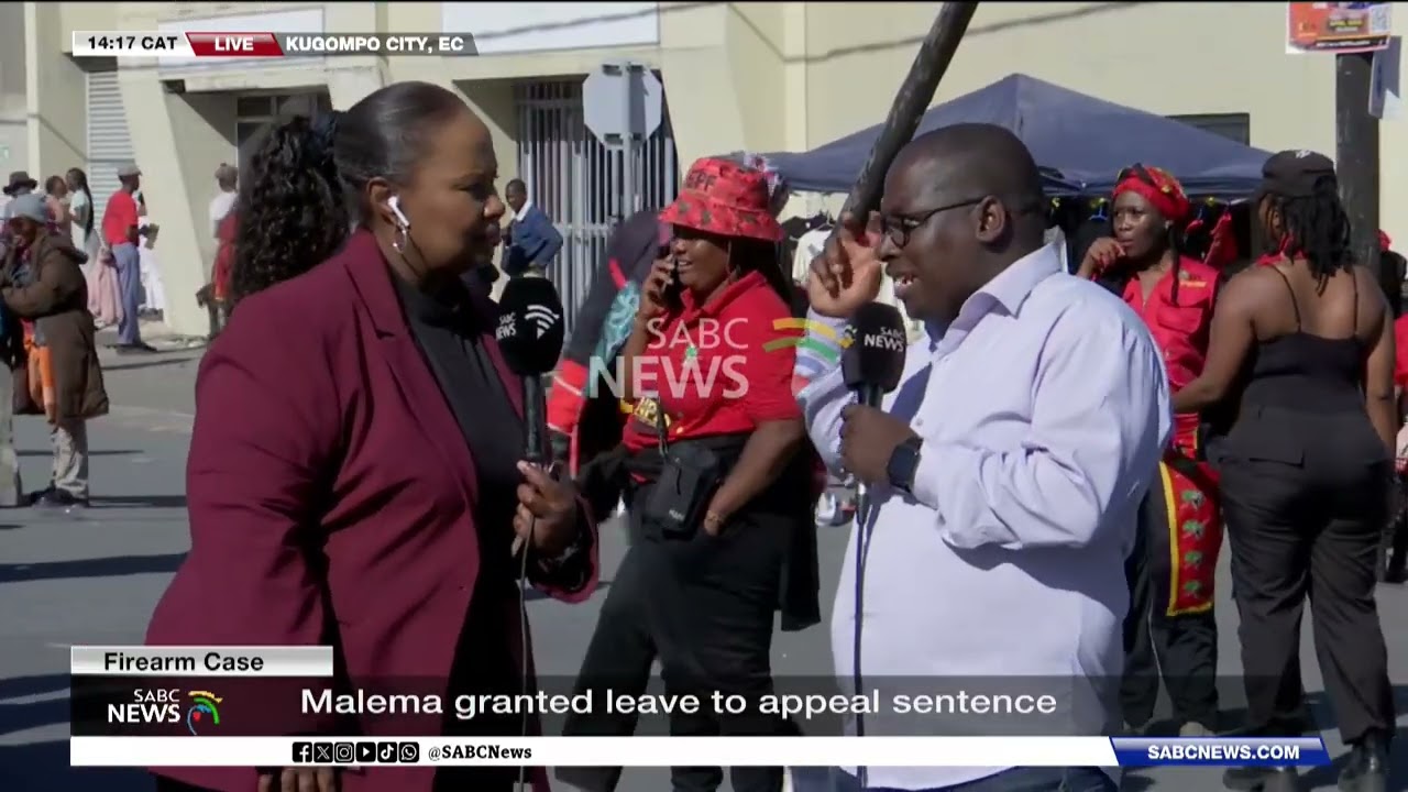 Malema Firearm Case |  Malema addresses supporters outside court