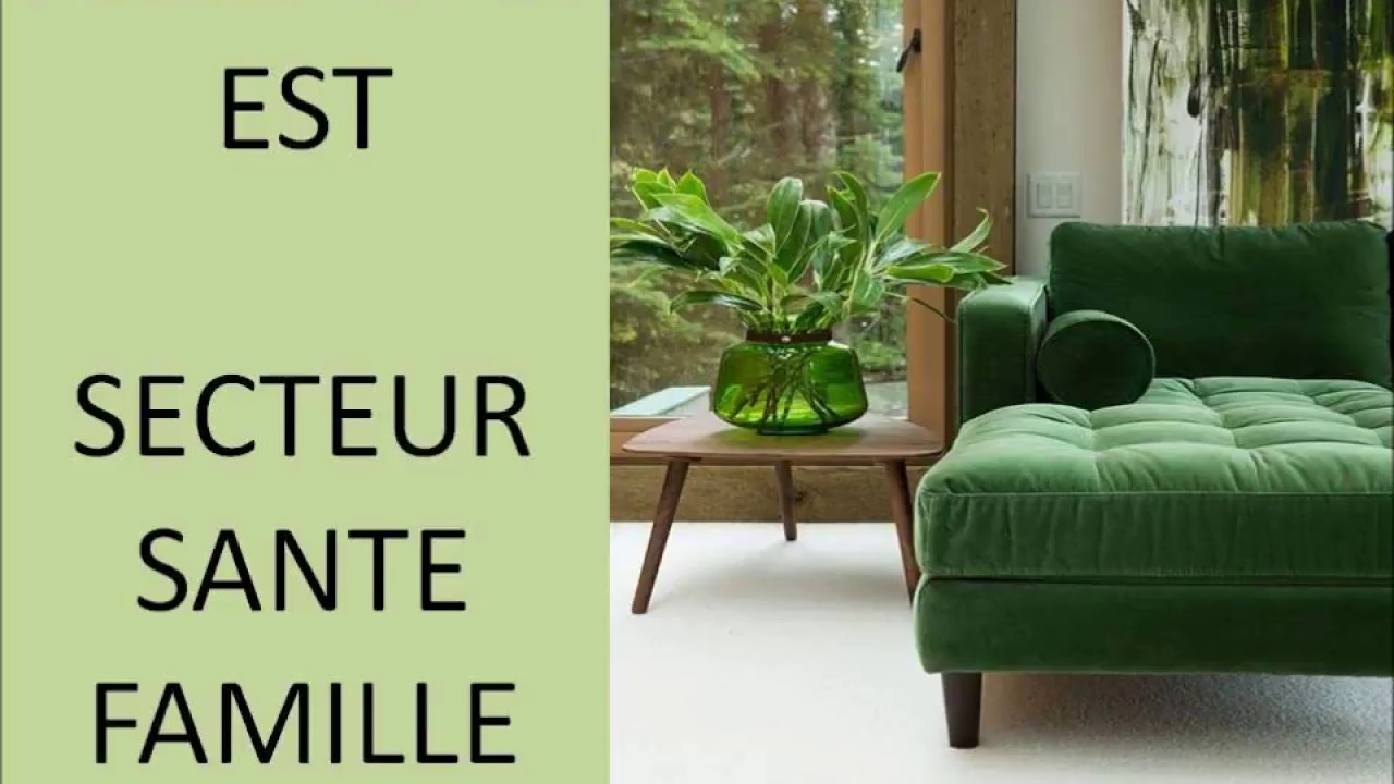 FENG SHUI SECTEUR SANTE FAMILLE