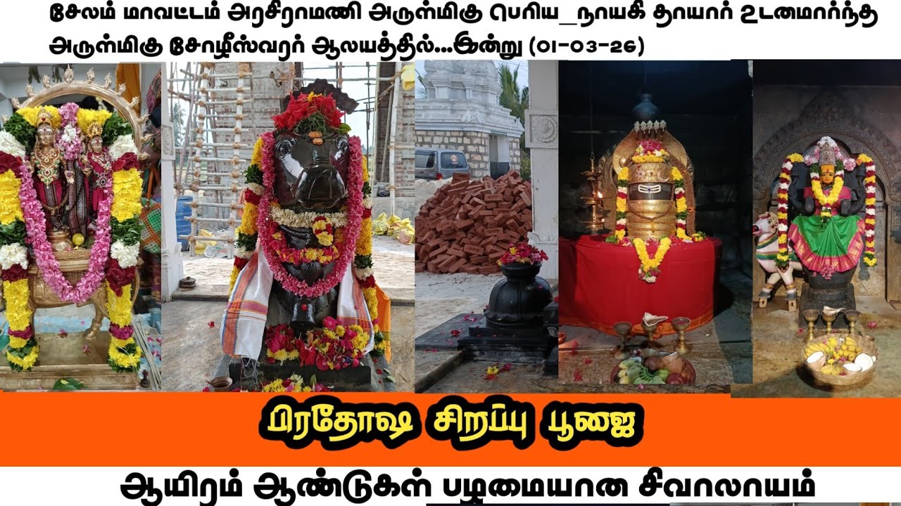 பிரதோஷம் | சோழீஸ்வரர் அரசிராமணி |Pirathosam | Salem| Nanthi| Periyanayagi | Shivan Mayel