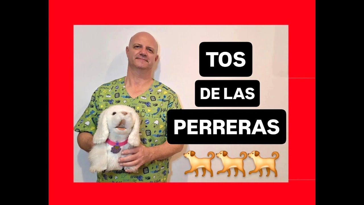 ¿Tiene mi perro la tos de las perreras?