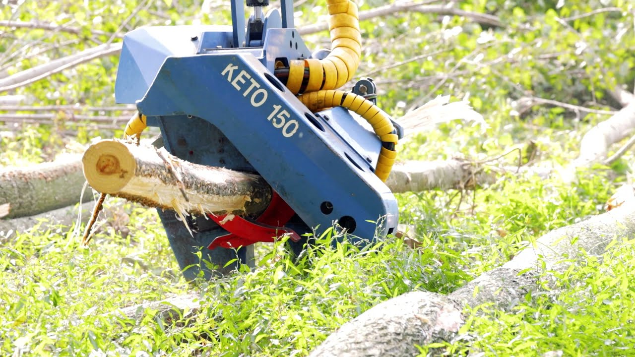 PROCESSORE-HARVESTER 