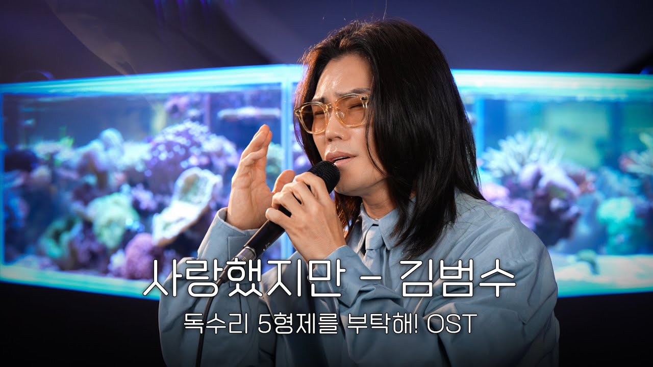 [Live] 김범수 - 사랑했지만 (독수리 5형제를 부탁해! OST)