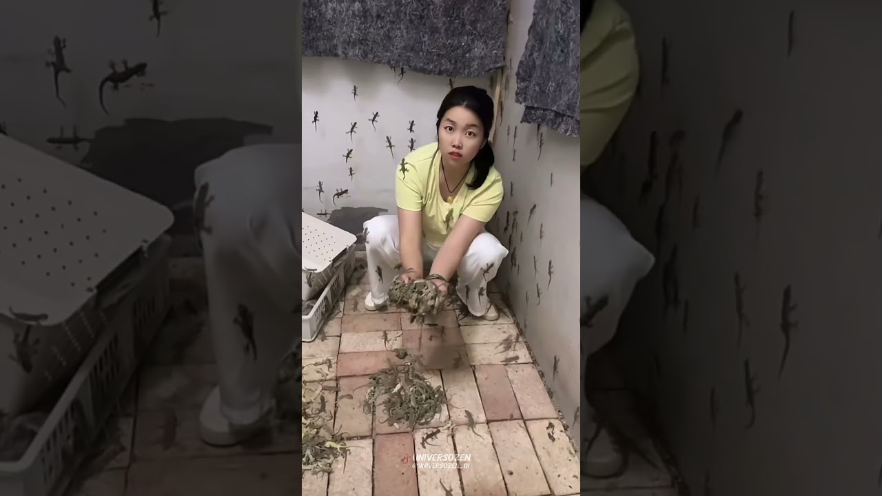Por que na China tem criadouro de lagartixas 🦎😟 #ciencia #fatoscient&iacute;ficos #viralshort