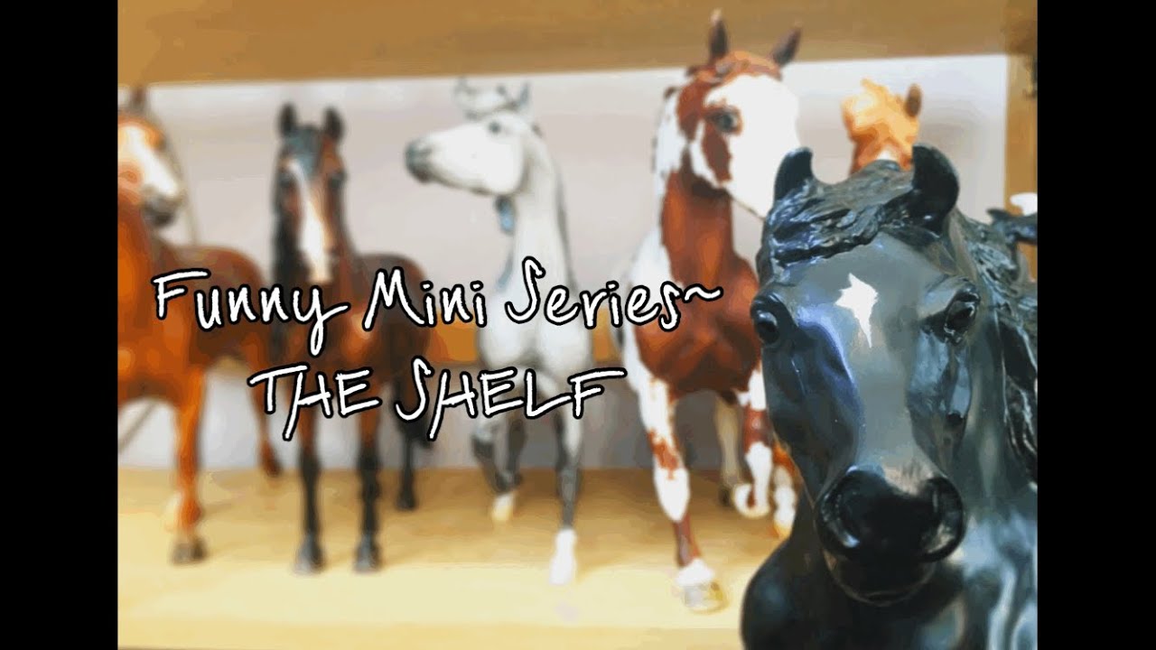 Breyer Horse Mini Series~THE SHELF-The &ldquo;Adventure&rdquo;