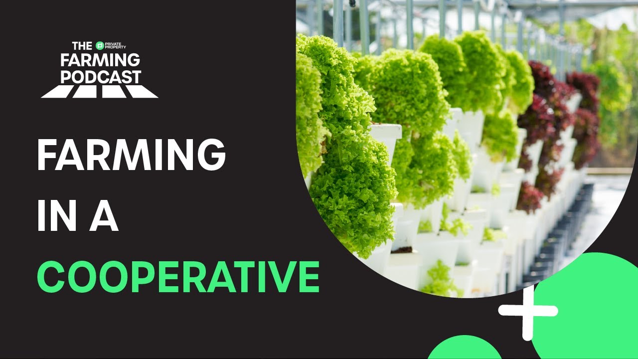 EPISODE 63: FARMING IN A COOPERATIVE