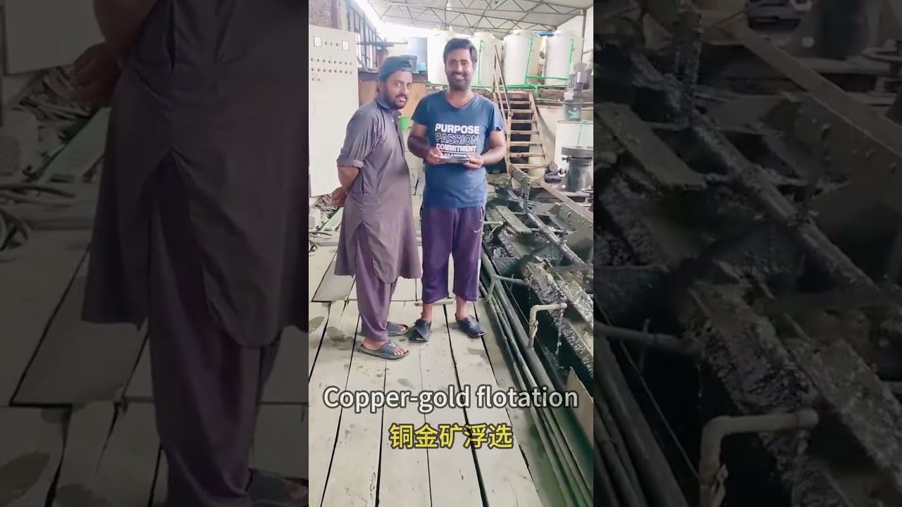 Copper and gold flotation plant complete processing equipment full tech guide