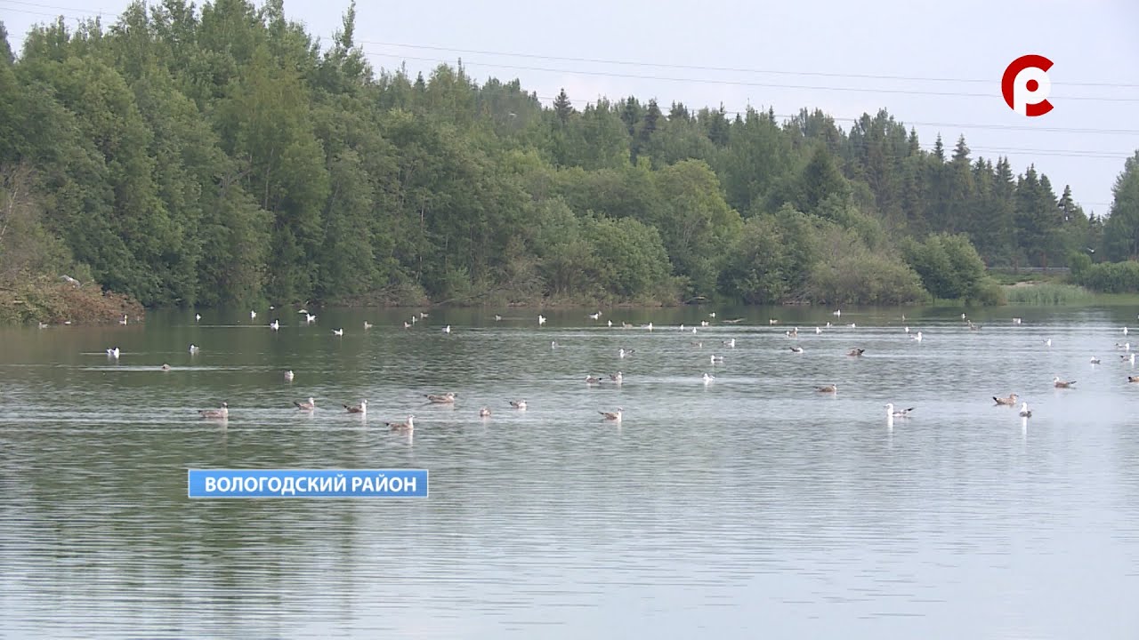 Время новостей 2022.07.28