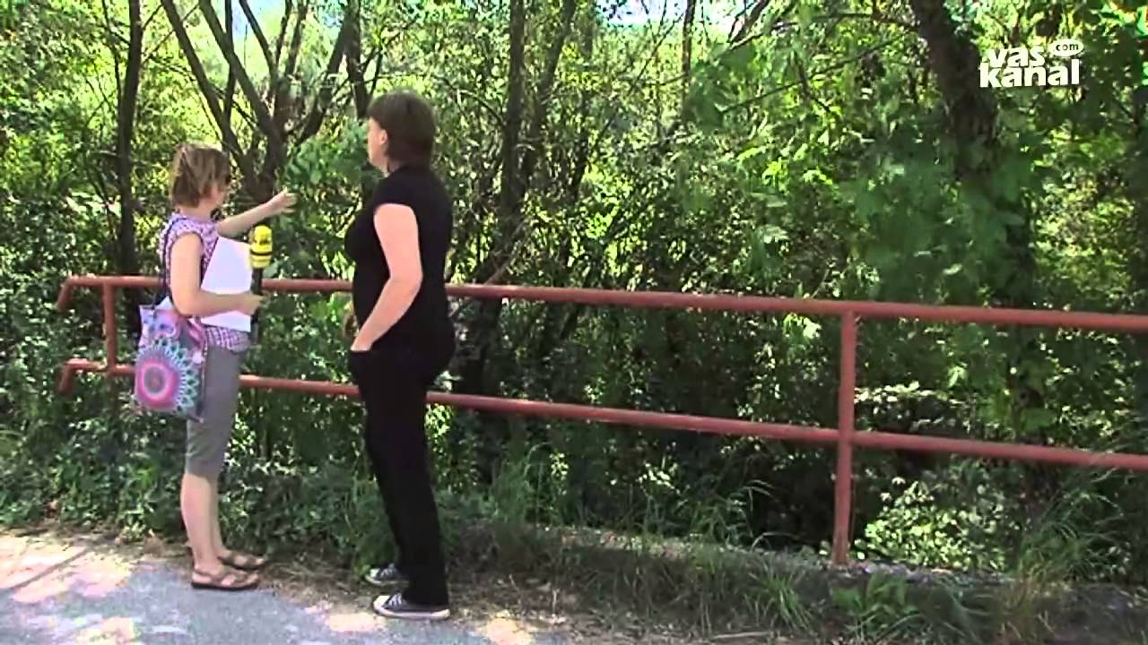 Namig za izlet: Kostanjevica na Krki