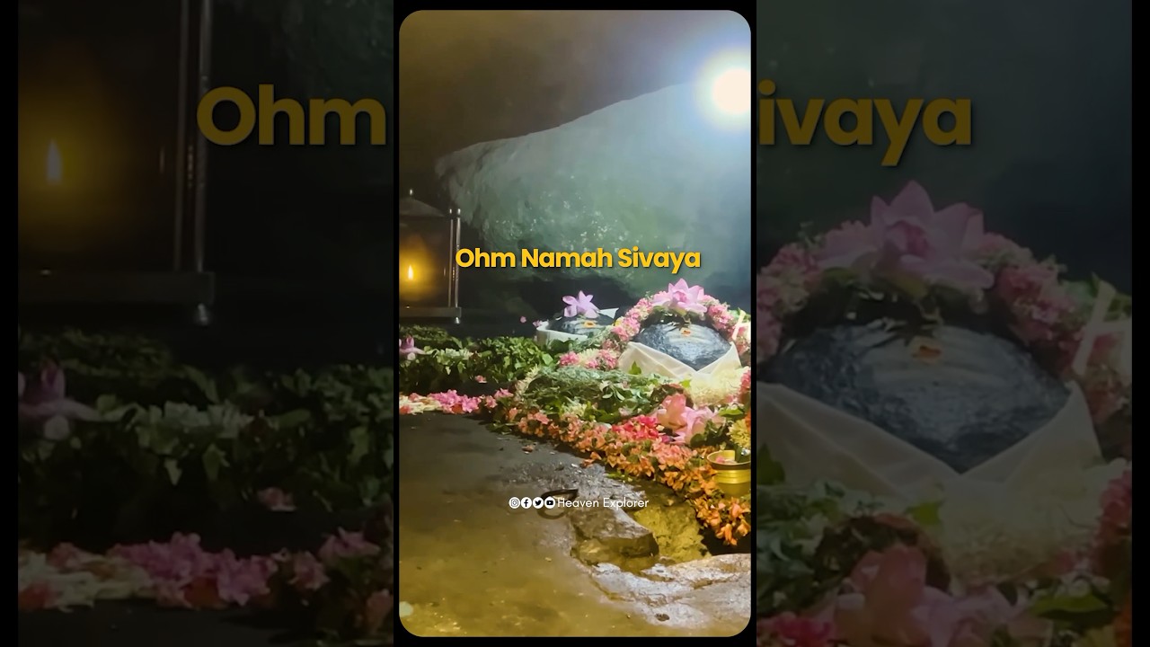 Chennai-la irunthu Velliangiri Payanam