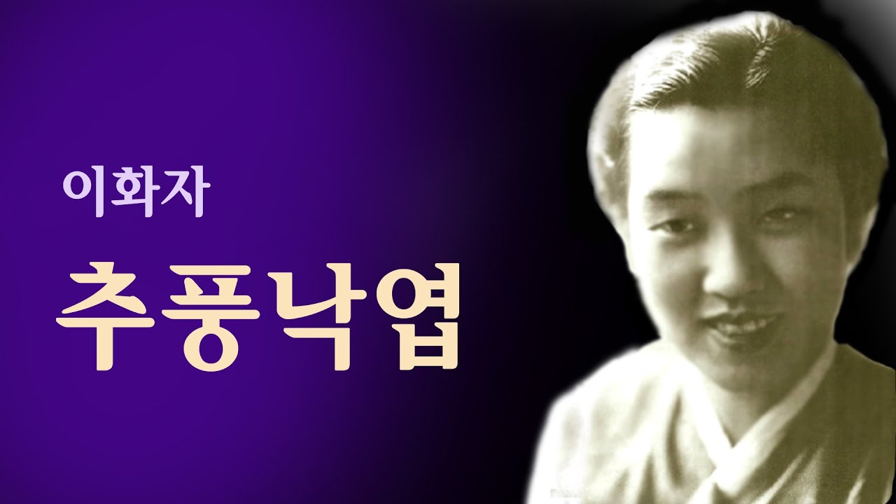 이화자-추풍낙엽/스타365