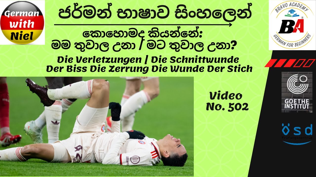 Spoken | Die Verletzungen | Die Schnittwunde Der Biss Die Zerrung Die Wunde Der Stich | (No.502)