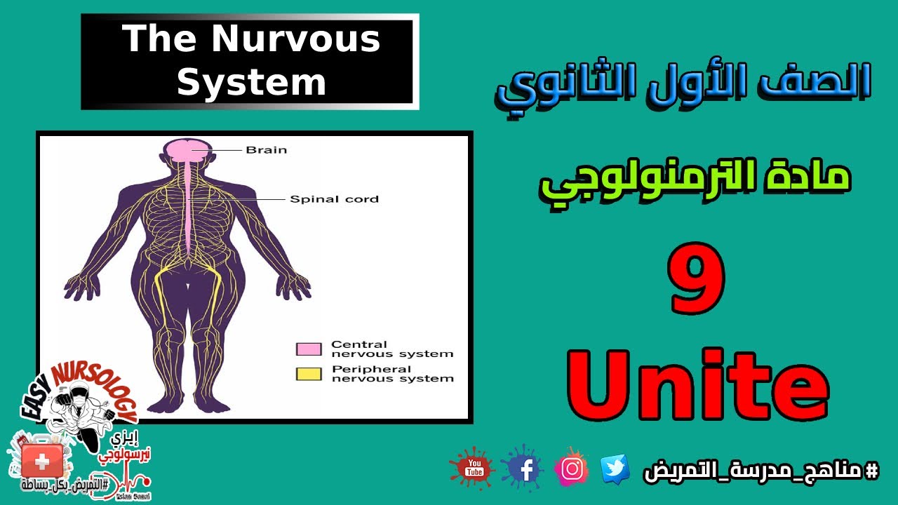 الوحدة التاسعة ترمنولوجي الصف الاول الثانوي تمريض - الجهاز العصبي The nervous system