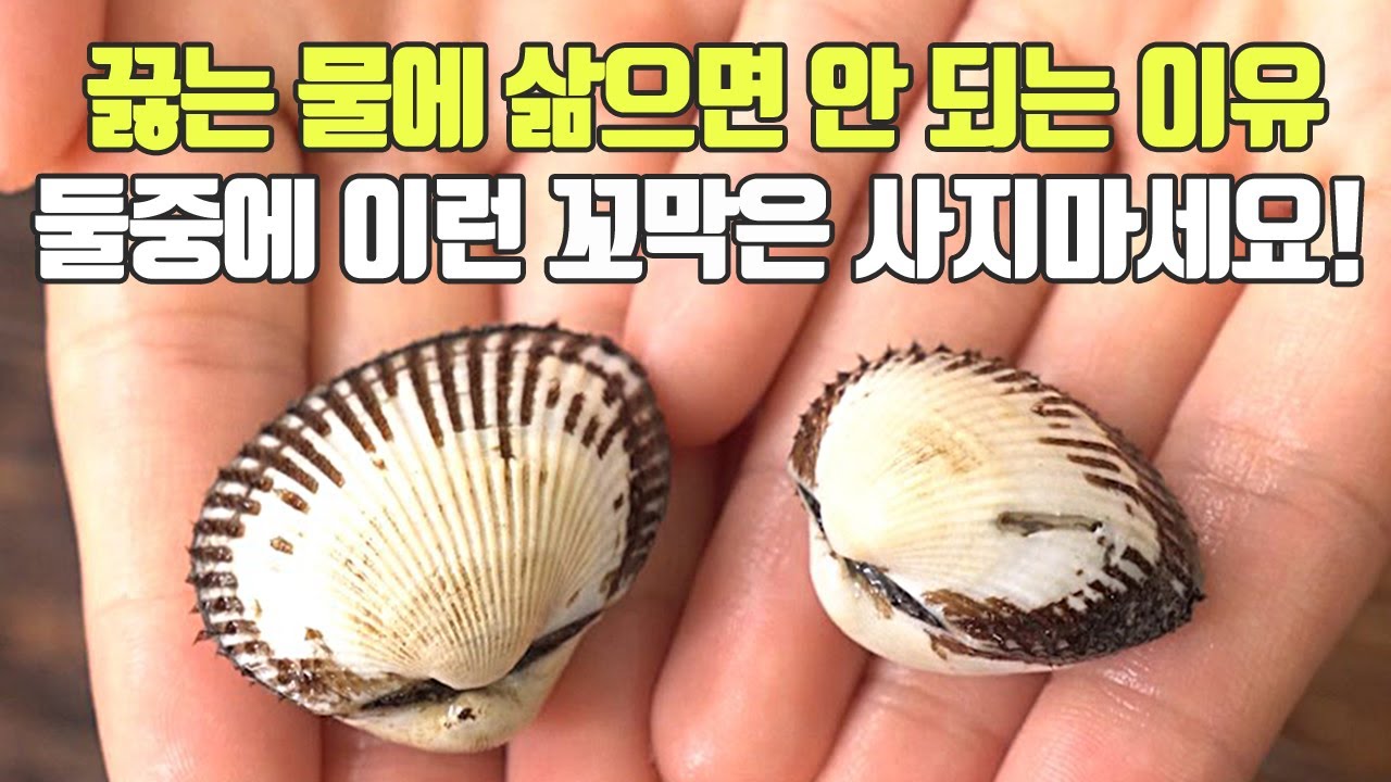 제발 이런 꼬막을 마트에서 보셨다면 피해주세요! 삶는법, 고르는법, 보관법
