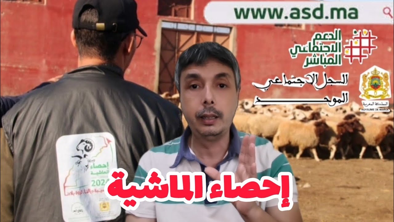 إحصاء الداخلية للمواشي 2025 و علاقته بتوقيف الدعم و أمو