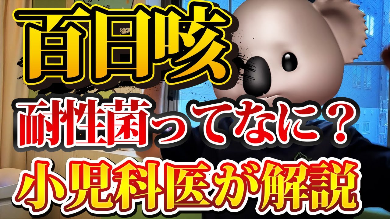 【耐性菌の報告？】百日咳って何？小児科医が解説！