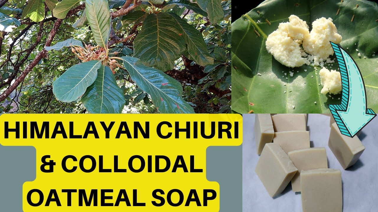 Himalayan Chiuri and Colloidal Oatmeal Soap #chitwan #himalayas #naturalsoap #nepal #uttarakhand