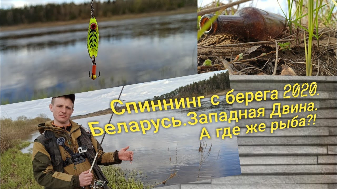 Спиннинг с берега 2020. Западная Двина. Беларусь.